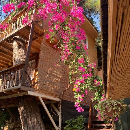 Large Bungalow With Sea View In Kabak Bay, Oeluedeniz Fethiye Dış mekan fotoğraf