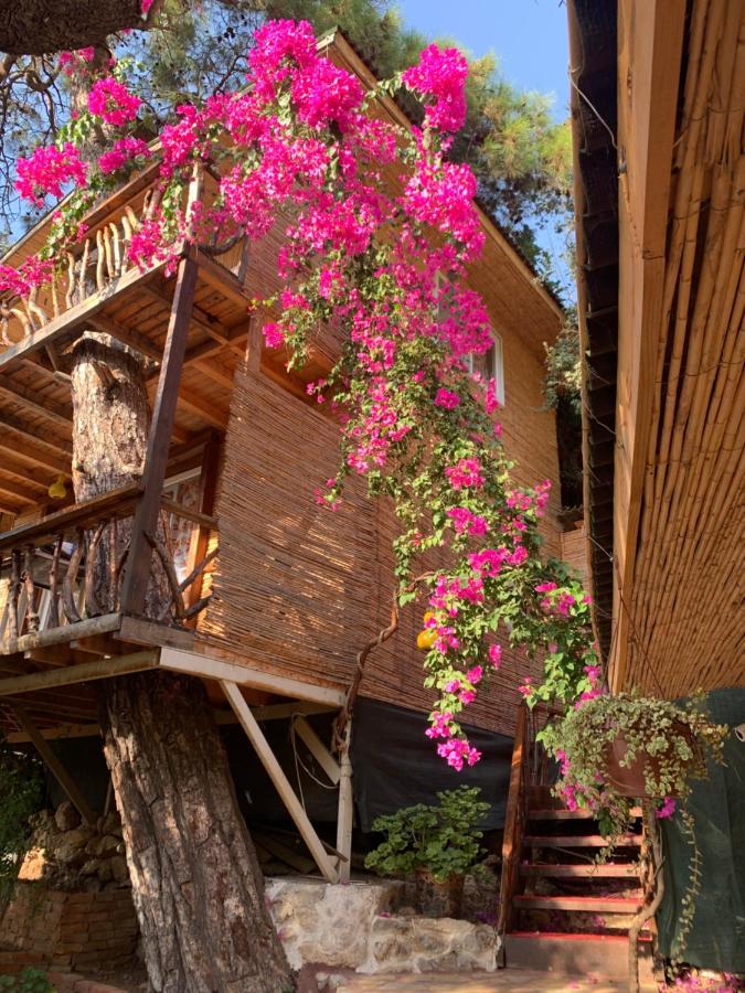Large Bungalow With Sea View In Kabak Bay, Oeluedeniz Fethiye Dış mekan fotoğraf
