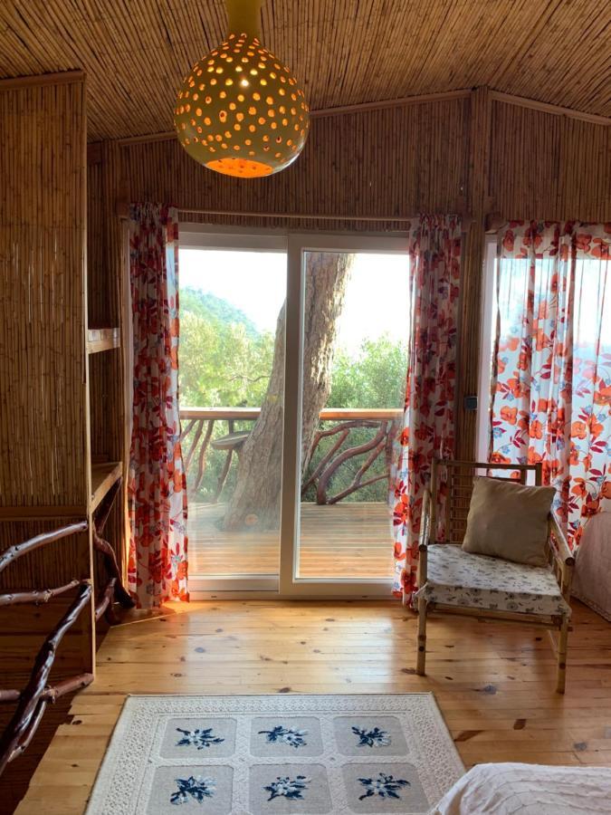Large Bungalow With Sea View In Kabak Bay, Oeluedeniz Fethiye Dış mekan fotoğraf